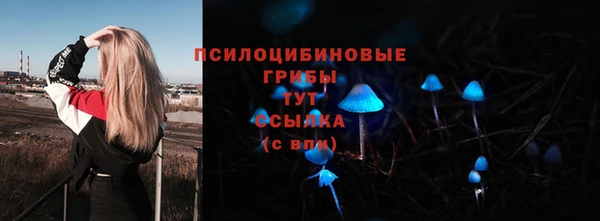 дурь Алексеевка