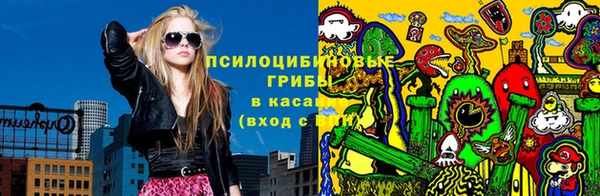 дурь Алексеевка