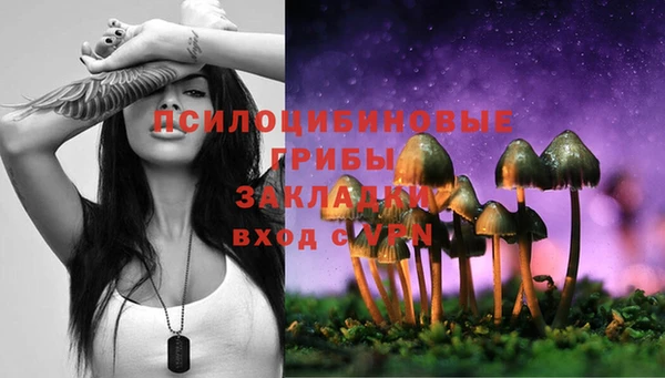 дурь Алексеевка