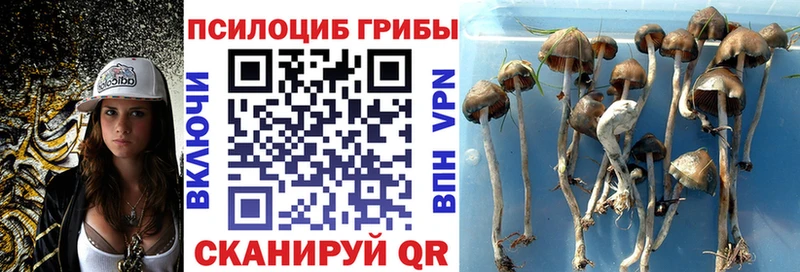 это телеграм  Белоярский  Псилоцибиновые грибы мухоморы  где купить наркоту  мега сайт 
